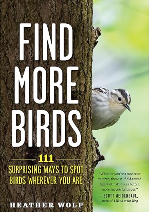 Find more birds 11 surprising ways to spot birds wherever you are.