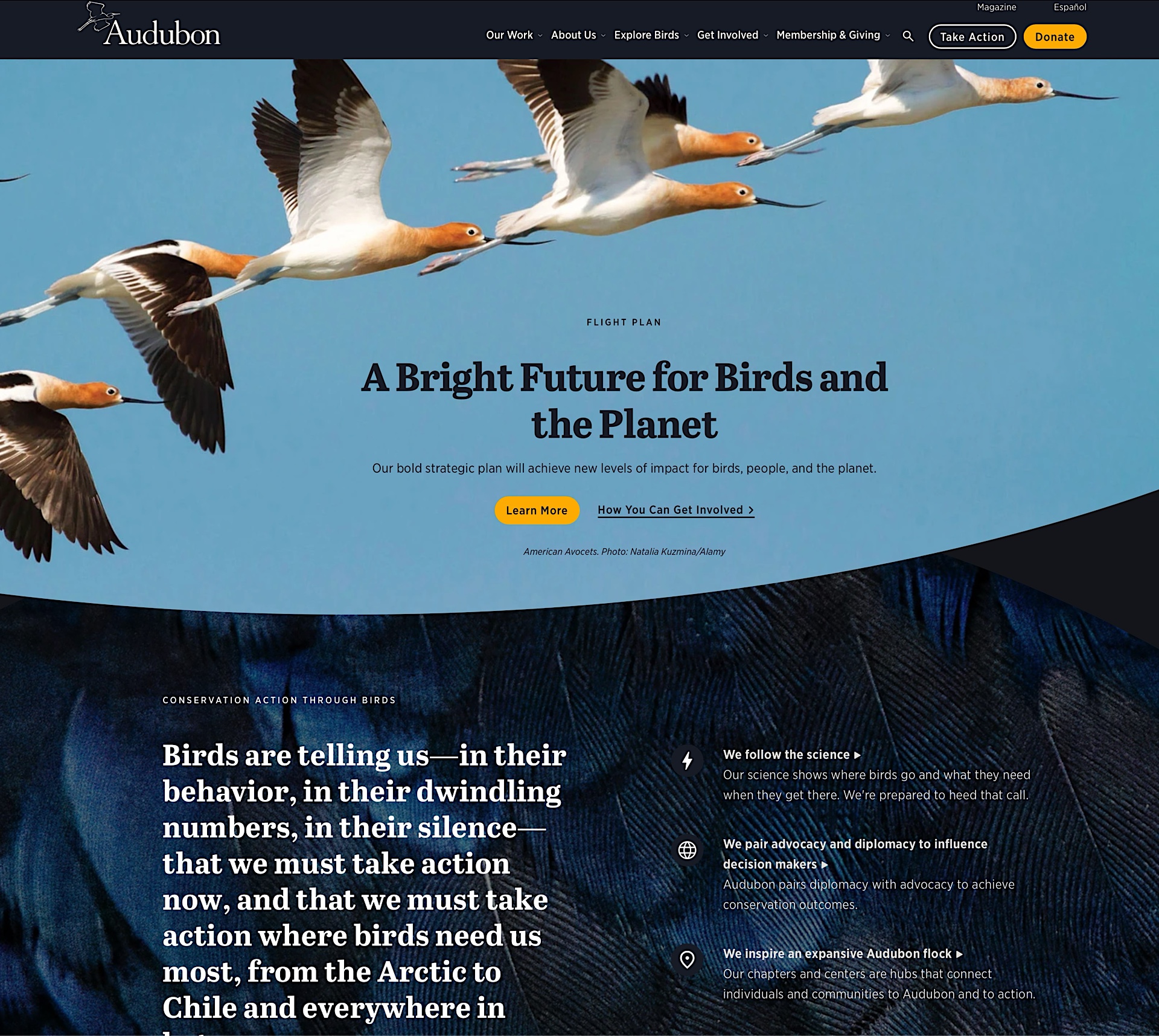 A bright future for birds and the planet.